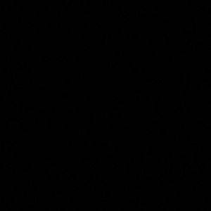 Meet your Posher, Saralynn